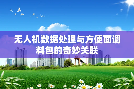 无人机数据处理与方便面调料包的奇妙关联