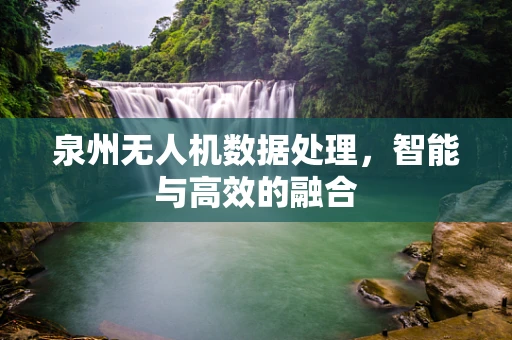 泉州无人机数据处理，智能与高效的融合