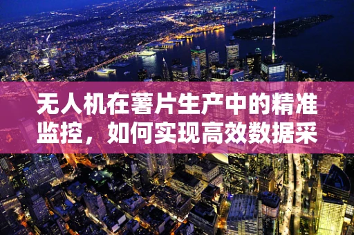 无人机在薯片生产中的精准监控，如何实现高效数据采集与处理？
