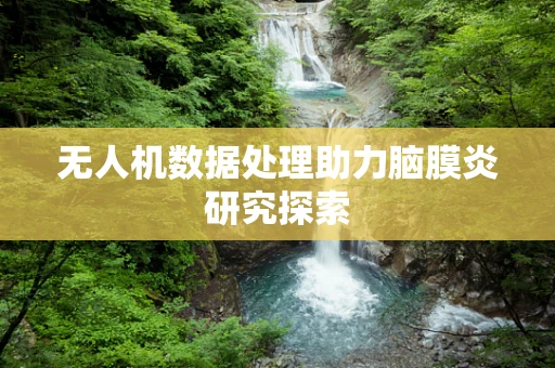 无人机数据处理助力脑膜炎研究探索