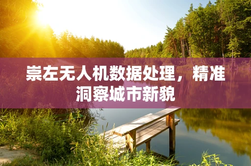 崇左无人机数据处理，精准洞察城市新貌