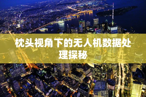 枕头视角下的无人机数据处理探秘