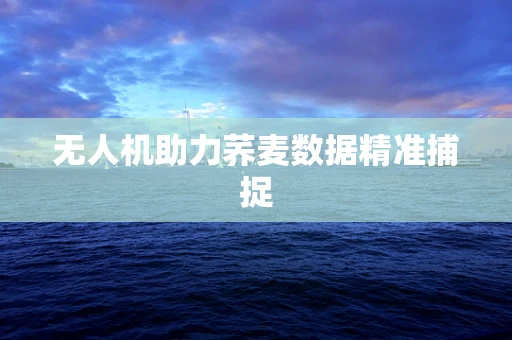 无人机助力荞麦数据精准捕捉