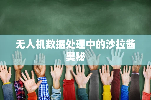 无人机数据处理中的沙拉酱奥秘