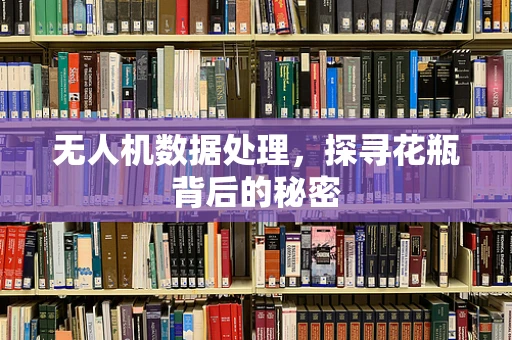 无人机数据处理，探寻花瓶背后的秘密