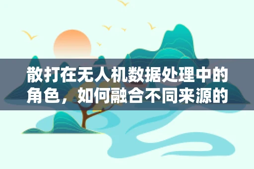 散打在无人机数据处理中的角色，如何融合不同来源的飞行数据？