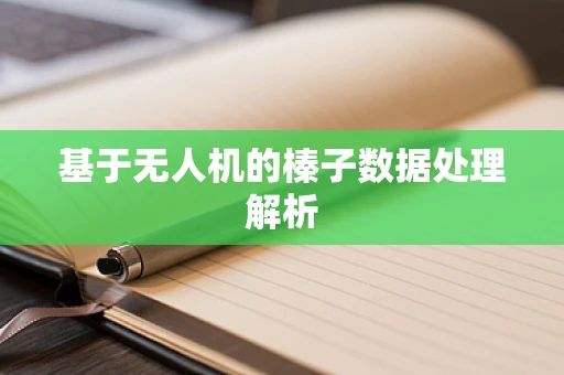 基于无人机的榛子数据处理解析