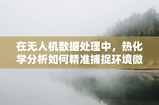 在无人机数据处理中，热化学分析如何精准捕捉环境微变？
