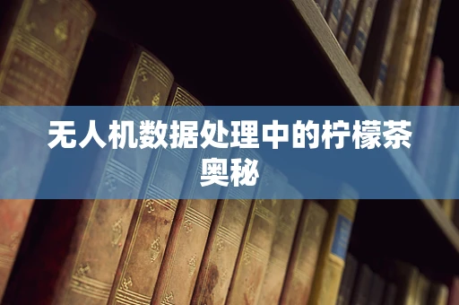 无人机数据处理中的柠檬茶奥秘