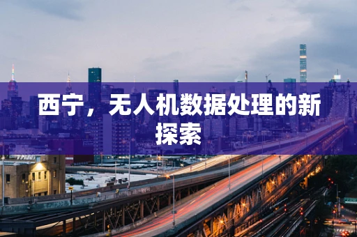西宁，无人机数据处理的新探索