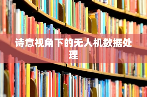 诗意视角下的无人机数据处理