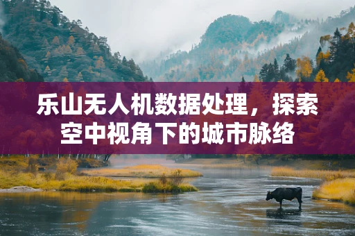 乐山无人机数据处理，探索空中视角下的城市脉络