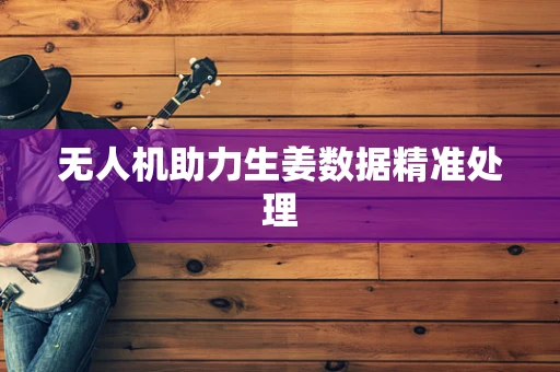 无人机助力生姜数据精准处理