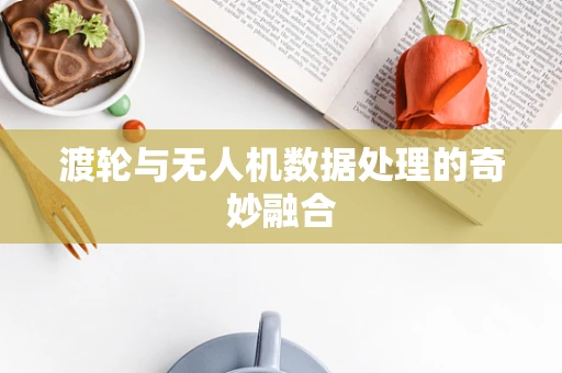 渡轮与无人机数据处理的奇妙融合