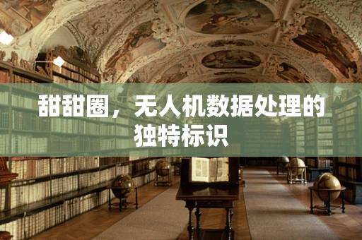 甜甜圈，无人机数据处理的独特标识