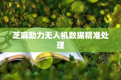 芝麻助力无人机数据精准处理