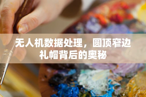 无人机数据处理，圆顶窄边礼帽背后的奥秘