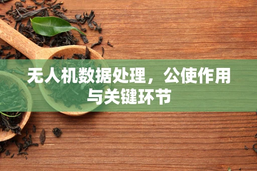无人机数据处理，公使作用与关键环节