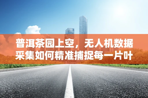 普洱茶园上空，无人机数据采集如何精准捕捉每一片叶的故事？