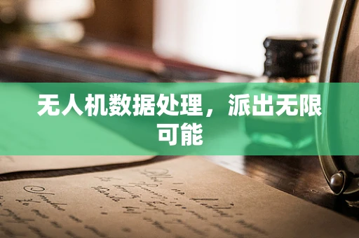 无人机数据处理，派出无限可能