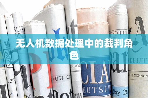 无人机数据处理中的裁判角色