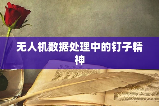 无人机数据处理中的钉子精神