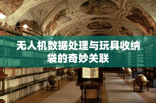 无人机数据处理与玩具收纳袋的奇妙关联