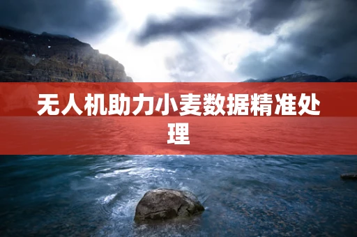无人机助力小麦数据精准处理