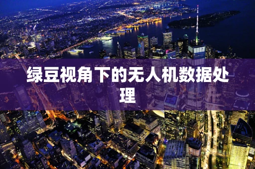 绿豆视角下的无人机数据处理