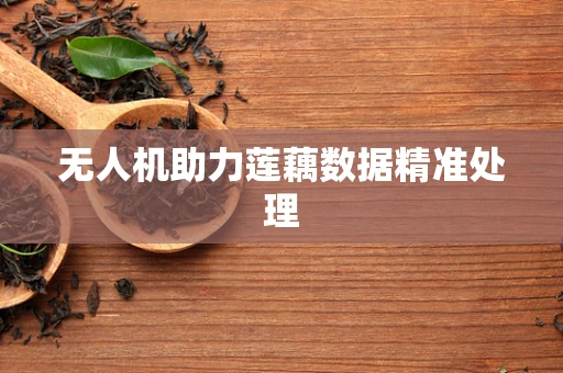 无人机助力莲藕数据精准处理
