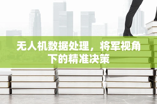 无人机数据处理，将军视角下的精准决策