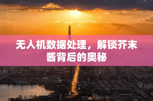 无人机数据处理，解锁芥末酱背后的奥秘