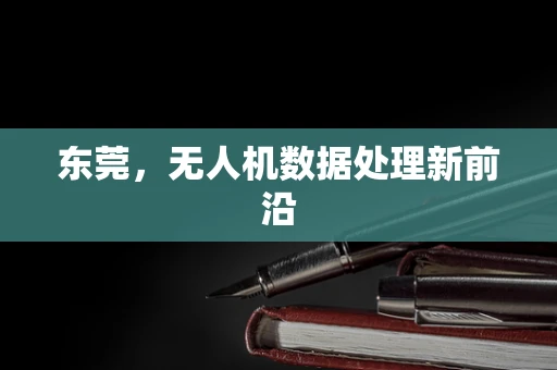 东莞，无人机数据处理新前沿