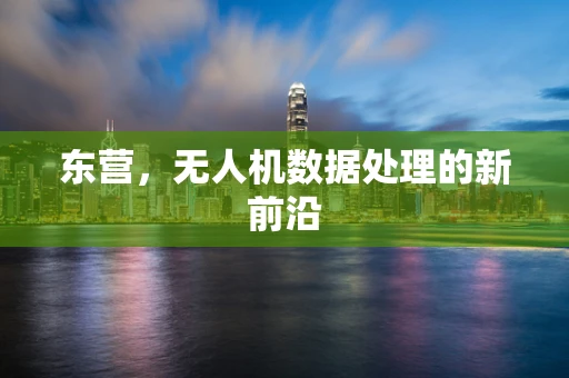 东营，无人机数据处理的新前沿