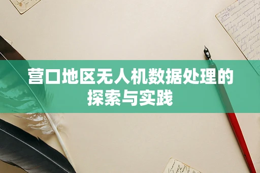 营口地区无人机数据处理的探索与实践