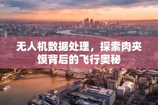 无人机数据处理，探索肉夹馍背后的飞行奥秘