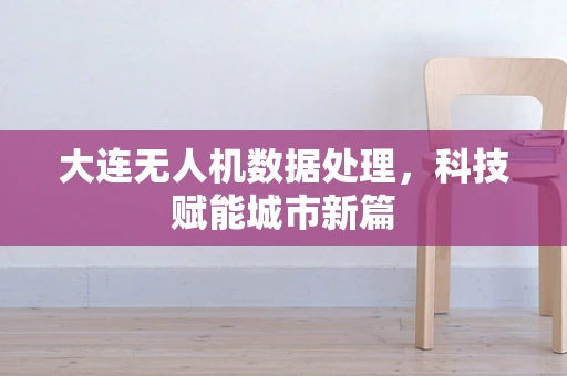 大连无人机数据处理，科技赋能城市新篇