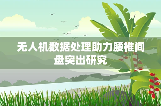 无人机数据处理助力腰椎间盘突出研究