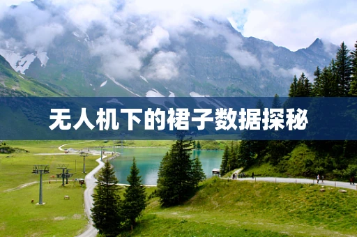 无人机下的裙子数据探秘