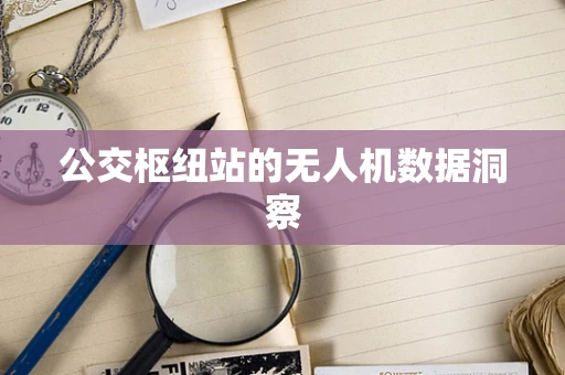 公交枢纽站的无人机数据洞察