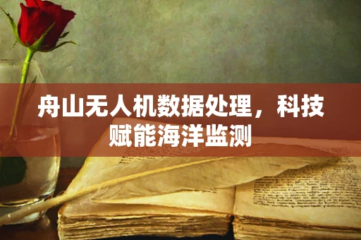 舟山无人机数据处理，科技赋能海洋监测