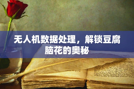 无人机数据处理，解锁豆腐脑花的奥秘