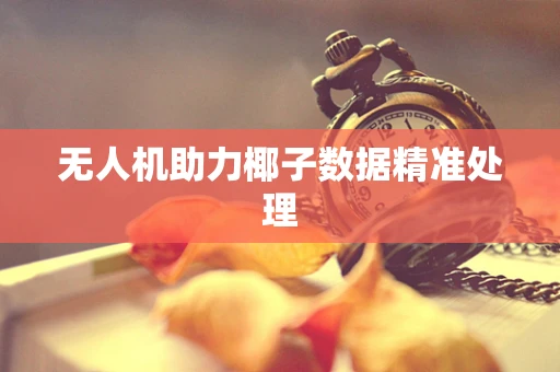 无人机助力椰子数据精准处理