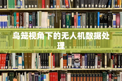 鸟笼视角下的无人机数据处理