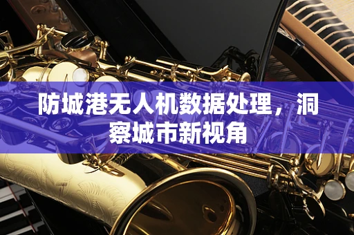 防城港无人机数据处理，洞察城市新视角