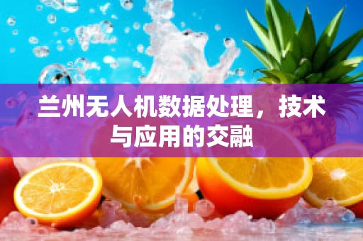 兰州无人机数据处理，技术与应用的交融