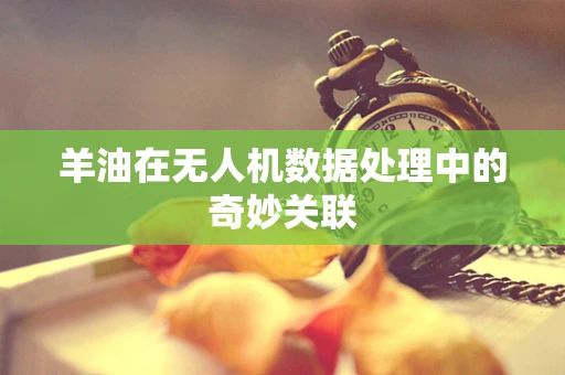 羊油在无人机数据处理中的奇妙关联
