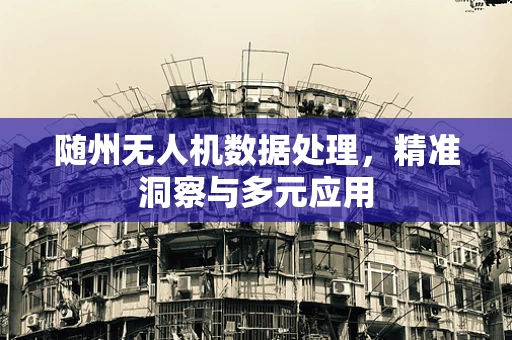 随州无人机数据处理，精准洞察与多元应用