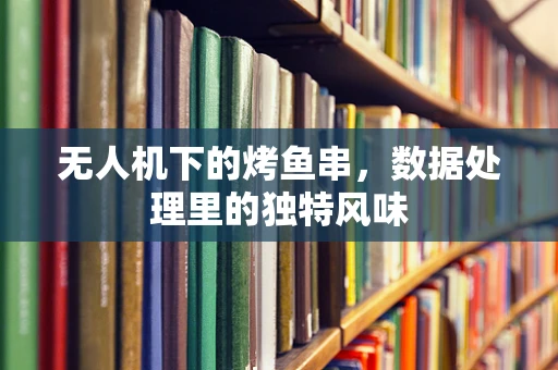 无人机下的烤鱼串，数据处理里的独特风味