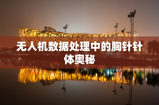 无人机数据处理中的胸针针体奥秘